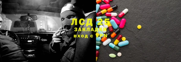 гашик Алексин