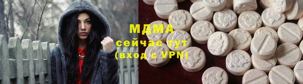 гашик Алексин