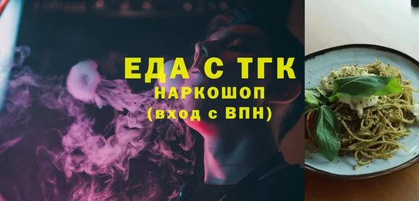 гашик Алексин