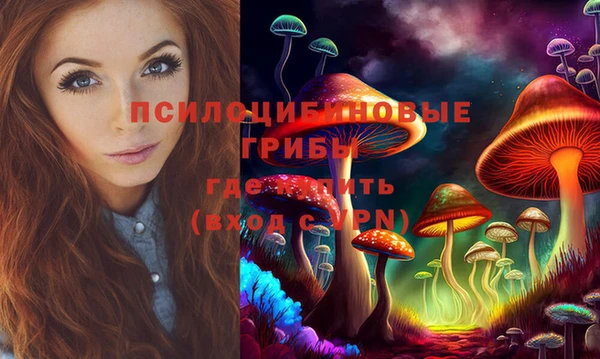 дурь Алексеевка
