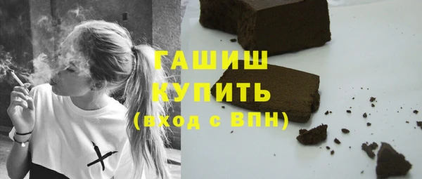 гашик Алексин