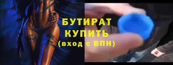 гашик Алексин