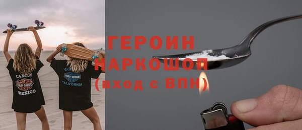 гашик Алексин