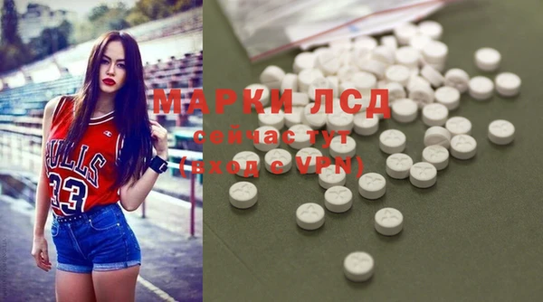 гашик Алексин