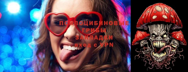 дурь Алексеевка