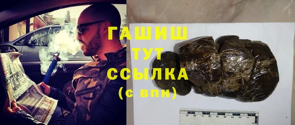 гашик Алексин