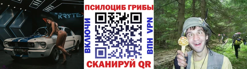 Галлюциногенные грибы GOLDEN TEACHER  закладки  Белореченск 